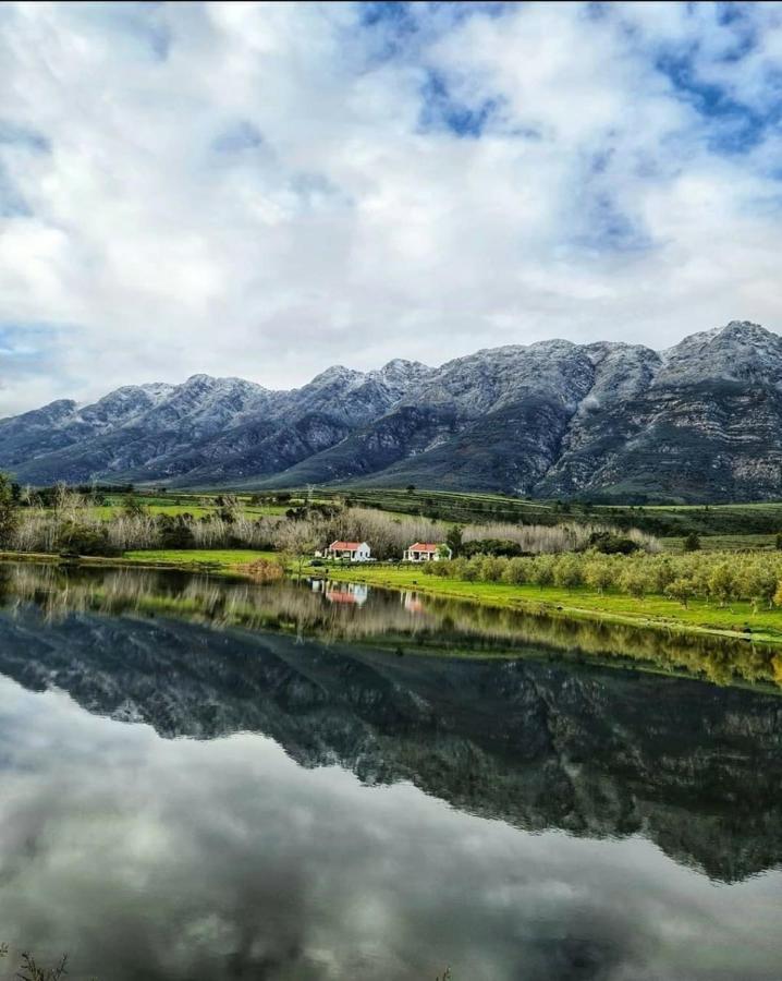 Fraaigelegen Farm - Home Of Adhara Evoo Tulbagh Eksteriør bilde