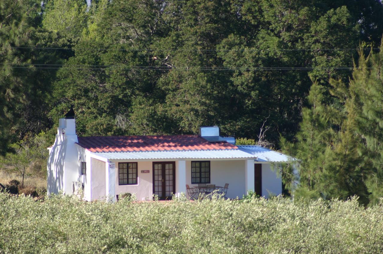 Fraaigelegen Farm - Home Of Adhara Evoo Tulbagh Eksteriør bilde