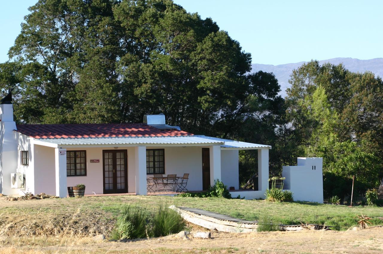 Fraaigelegen Farm - Home Of Adhara Evoo Tulbagh Eksteriør bilde