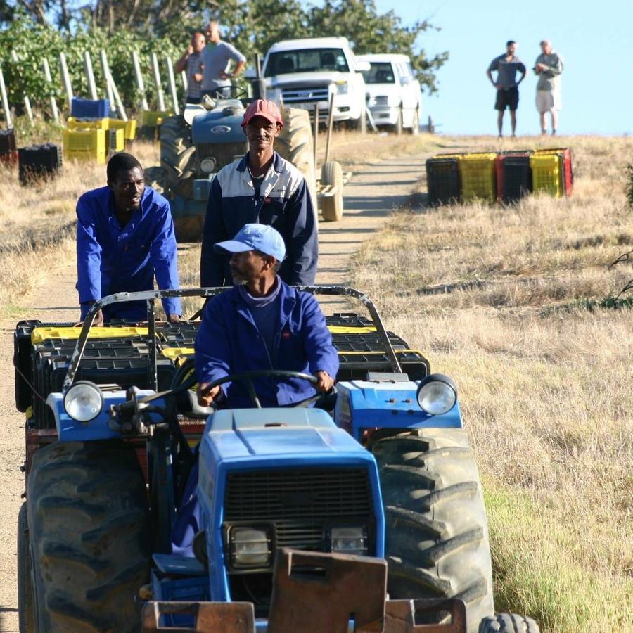 Fraaigelegen Farm - Home Of Adhara Evoo Tulbagh Eksteriør bilde